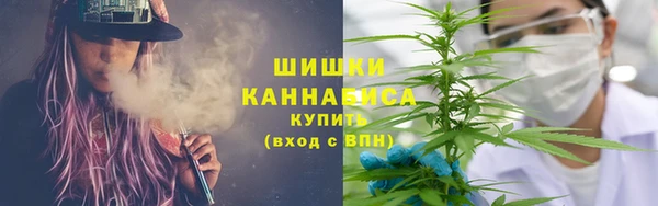 сатива Абаза