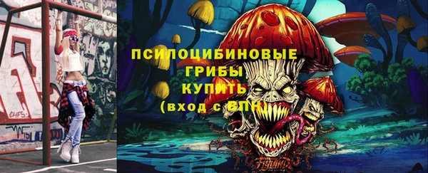 амф Няндома