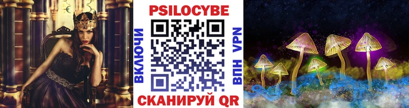 Псилоцибиновые грибы Psilocybe  Щучье 
