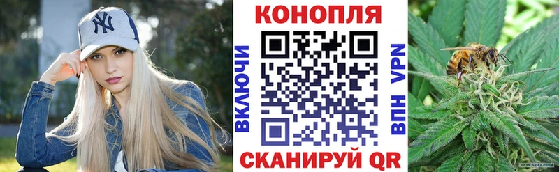 Конопля MAZAR  Щучье 